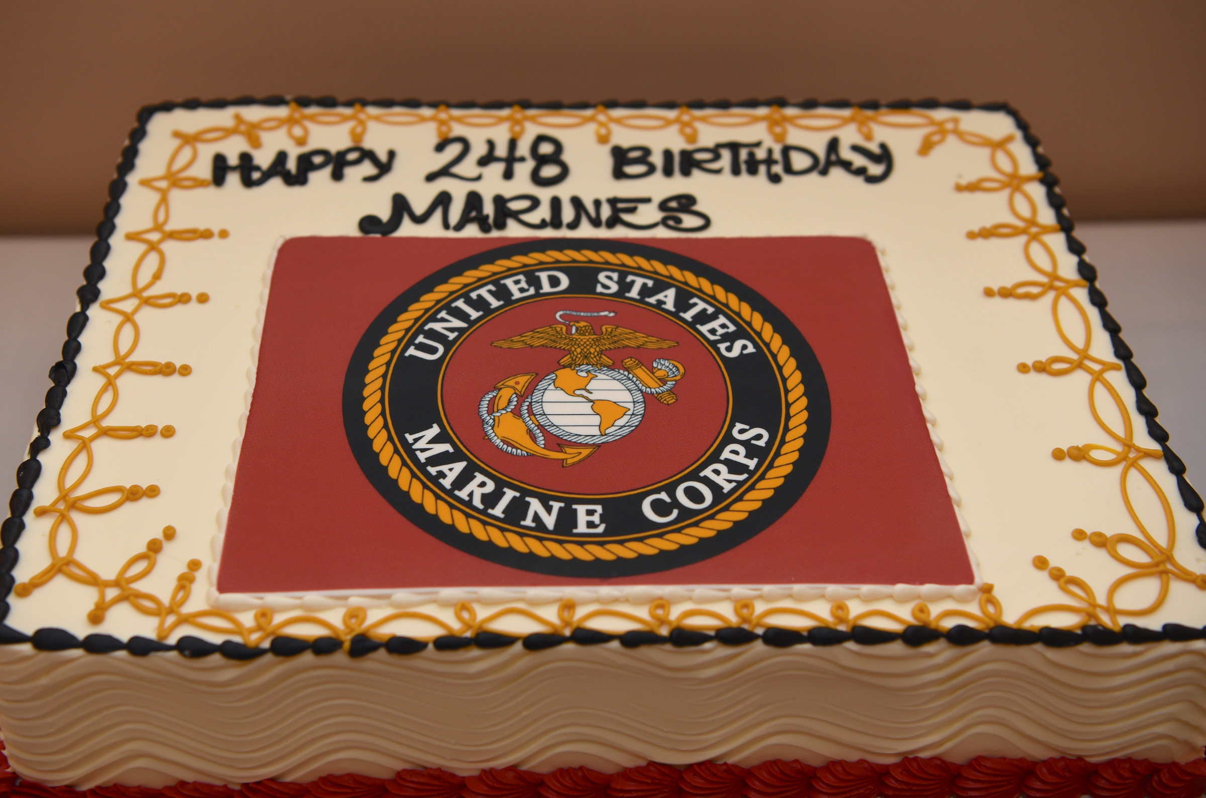 The event coincided with the 248th birthday of the United States Marine Corps. (Photo by Kathy Hillegonds / DePaul University)
